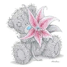 trop mimi